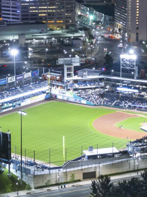 Hartford Yard Goats vs Somerset Patriots