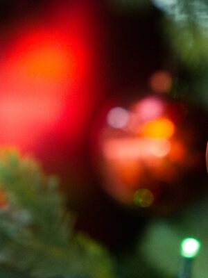 Winter Wonderland Ornament Workshop