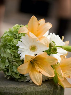 Connecticut Bridal & Wedding Expo