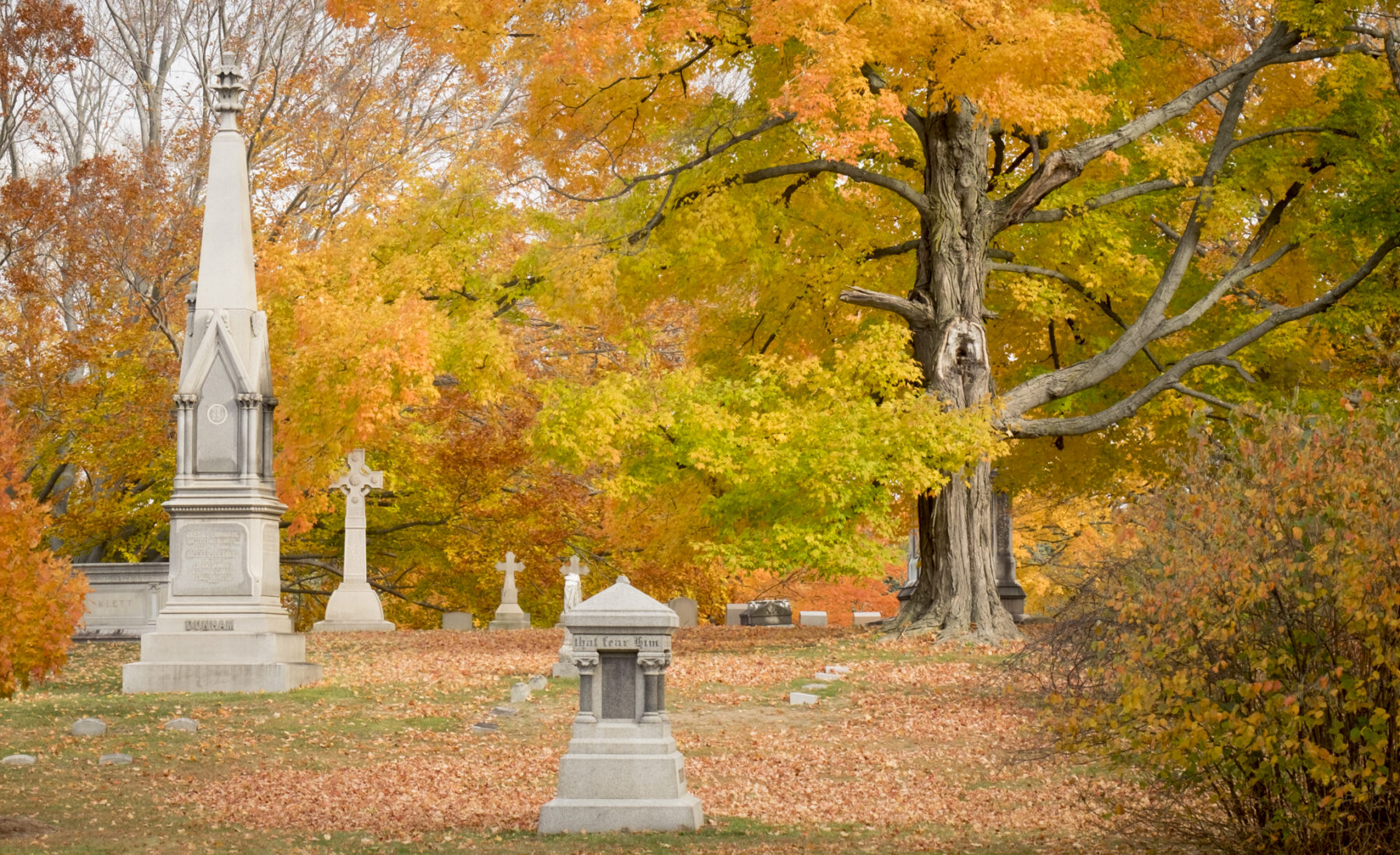 cedar hill fall foliage tour