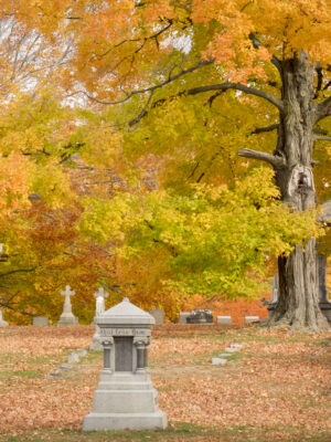 Fall Foliage Tour
