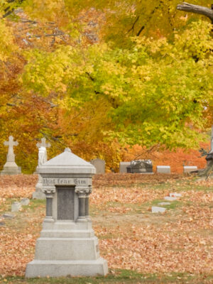 Fall Foliage Tour