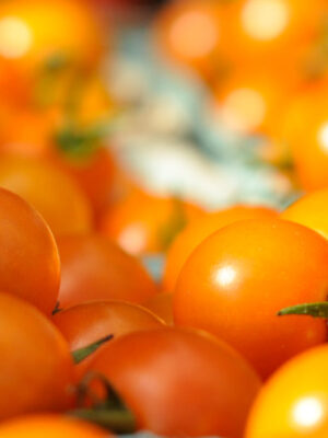 West End Farmers' Market