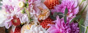 Flower arrangement with chrysanthemum flowers close-up, festive bouquet.