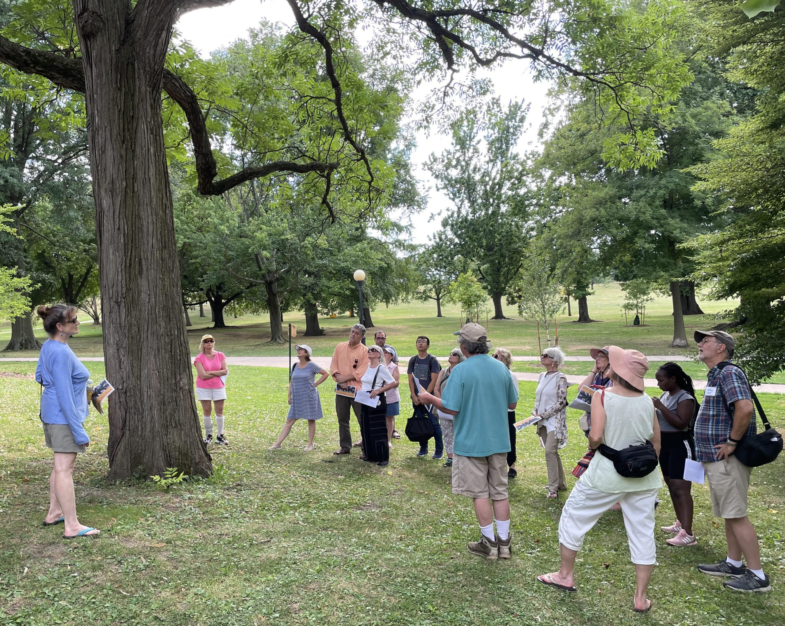 CalendarBushnell Park Tree Tour New & Old The Bushnell Park Tree