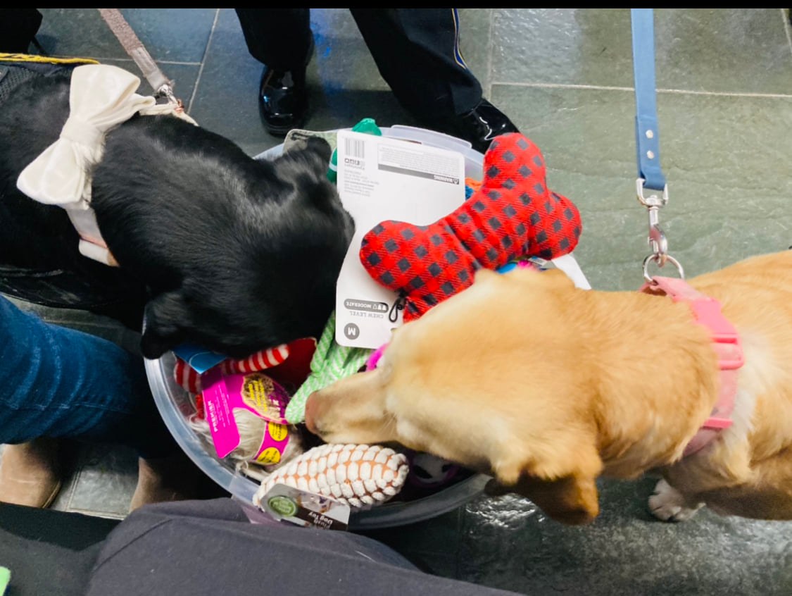 11th Annual Bark Twain Bash — Community in Mark Twain House & Museum · Hartford, CT