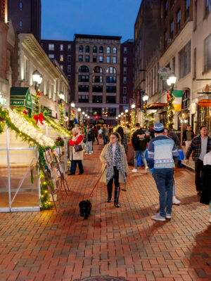 Pratt Street Winter Village