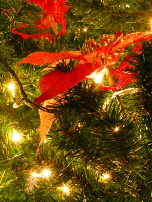 Hark! The Harold Angels Sing! A 100% Made-Up Christmas Musical