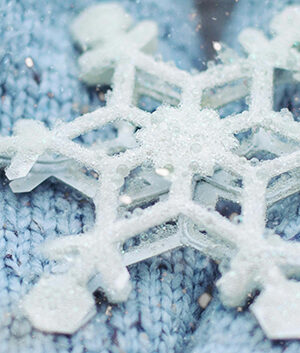 Holiday Enchantment at the CT Science Center