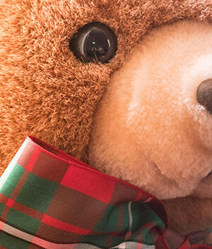 2024 Holiday Toy Giveaway