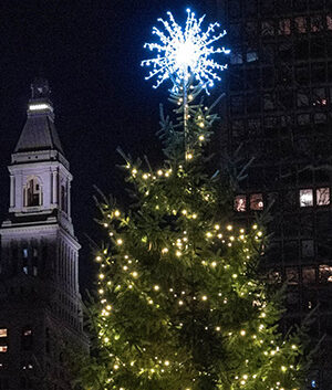Holidays in Hartford Tree Lighting