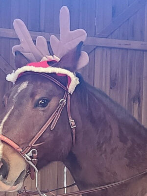 Winter Wonderland Village w/ Santa & Mrs. Claus