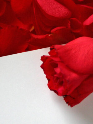 Say It With Flowers: A Valentine Craft Workshop