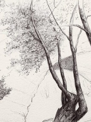 Ink Drawing with Luis Colan