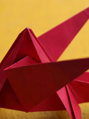 Motoko Origami Geometry Workshop