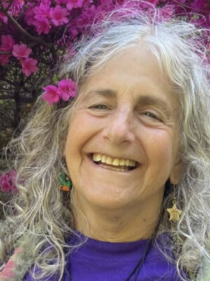 Terri Lachance