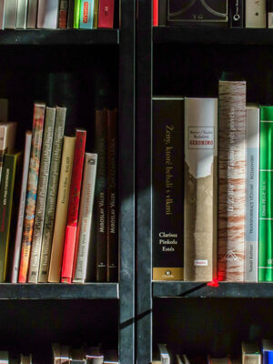 Books! Books! Books! The Improv Comedy Show Too Loud for the Library
