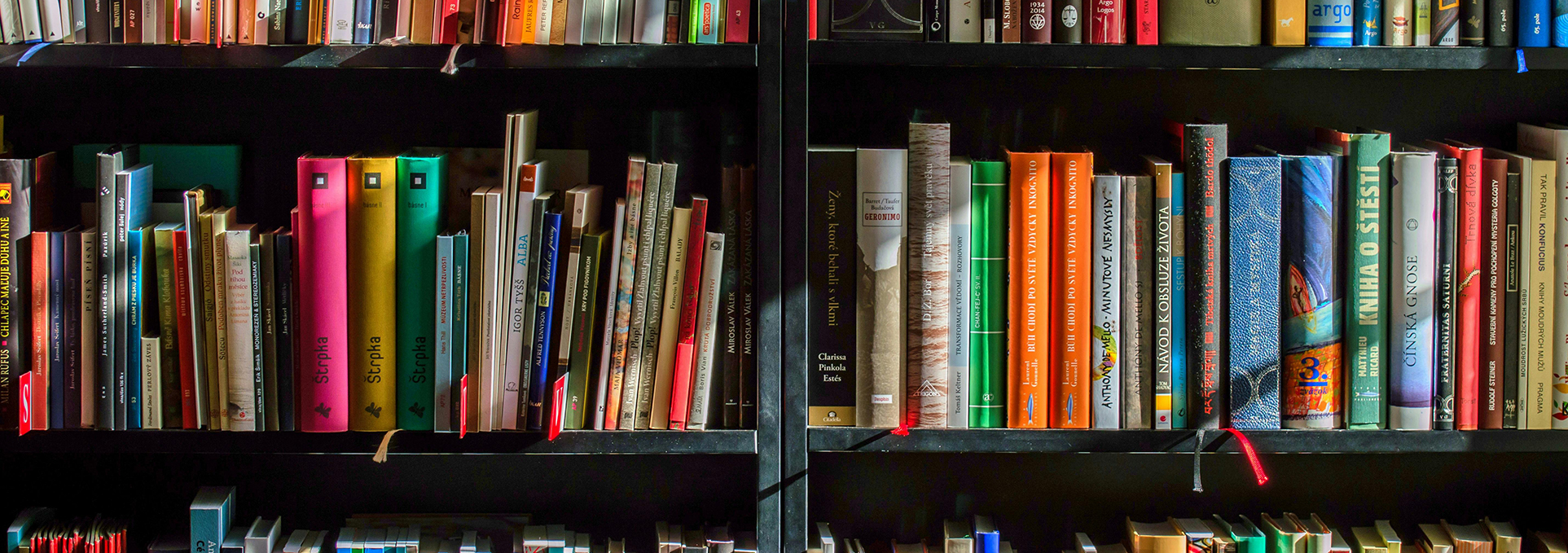 Sonder Reading Series
