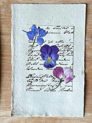 Botanical Art Workshop