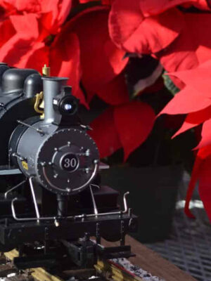 2025 Greenhouse Train Show