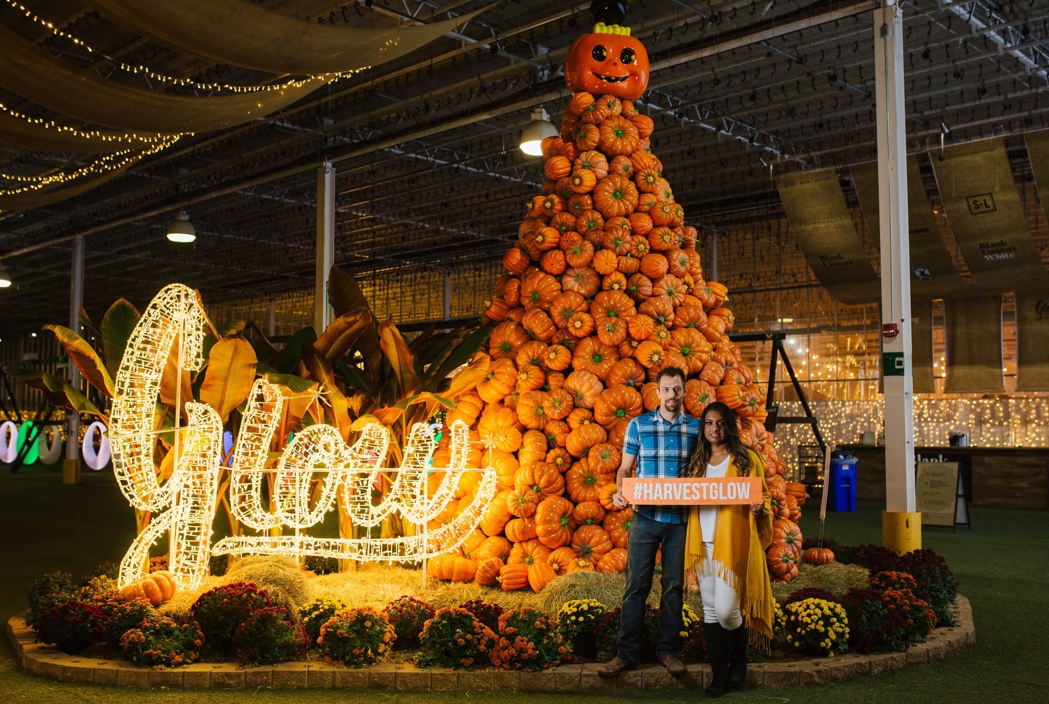 Harvest Glow