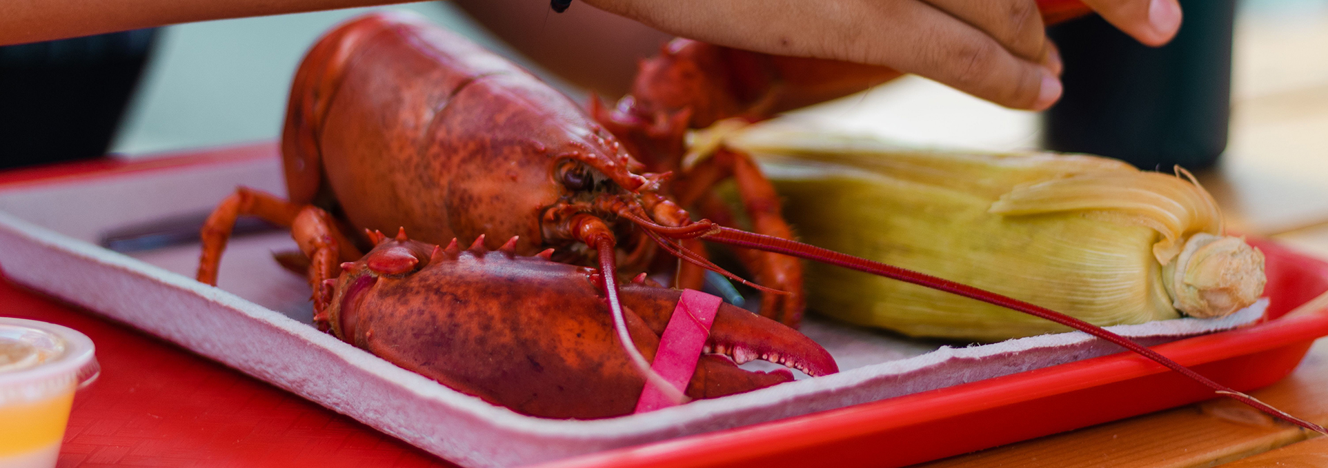 Pratt Street Yacht Club – Coastal Cookout — Family fun in Pratt Street Historic District
