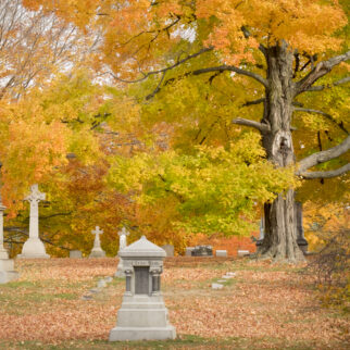 cedar hill fall foliage tour