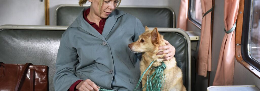 woman seated on a train with a dog